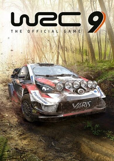 E-shop WRC 9: FIA World Rally Championship Epic Games Key GLOBAL