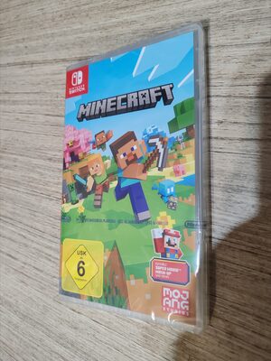 Minecraft Nintendo Switch