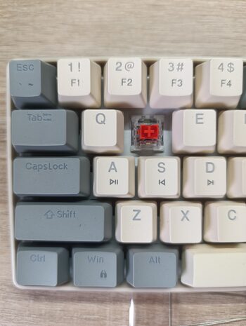 Red switch mechaninė klaviatūra