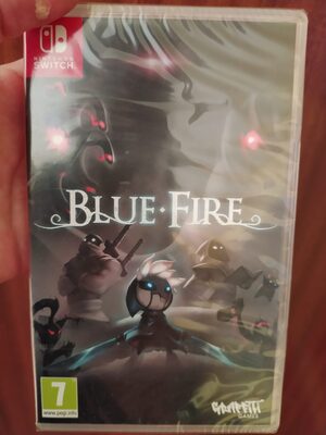 Blue Fire Nintendo Switch