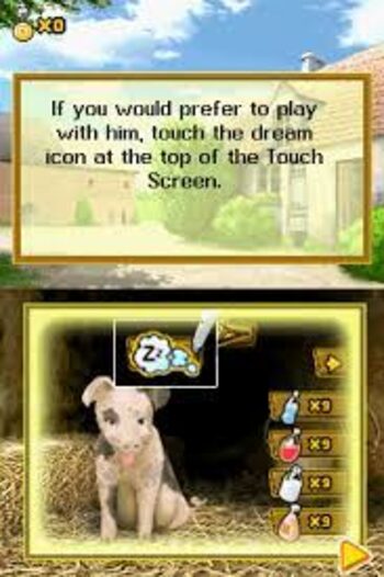 Crazy Pig Nintendo DS