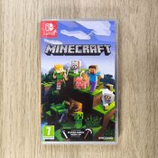 Minecraft Nintendo Switch