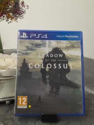 Shadow of the Colossus PlayStation 4