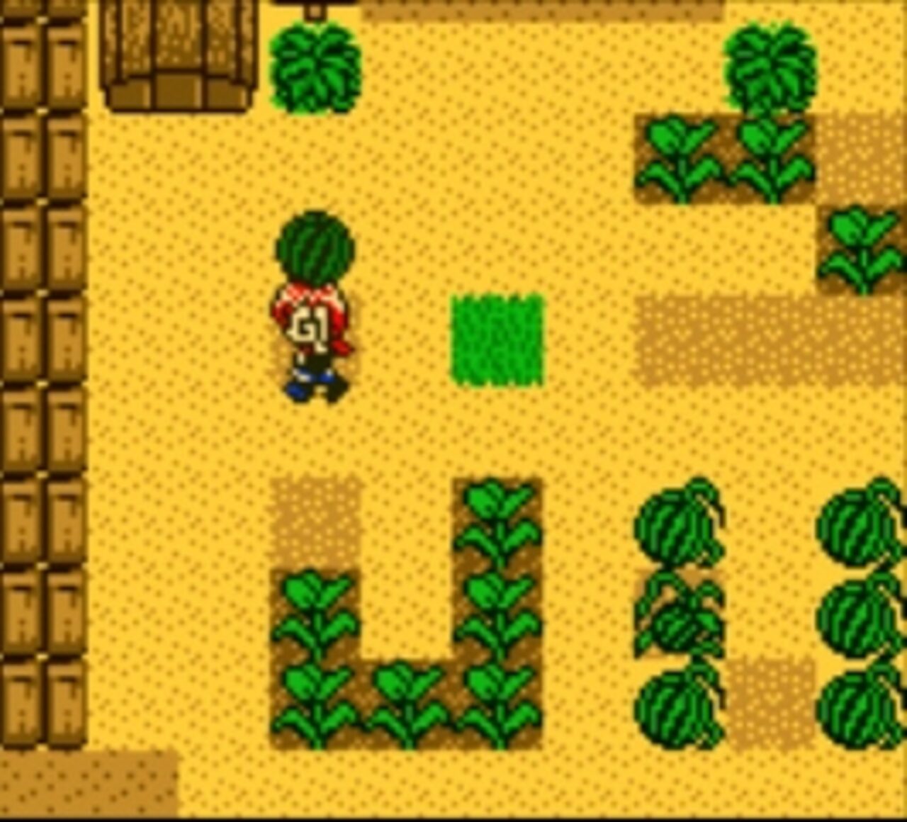 Harvest Moon 2 GBC (1999) Game Boy Color