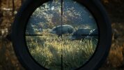 theHunter: Call of the Wild (PC) Steam Key LATAM