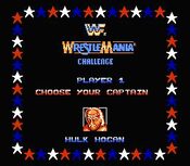 Buy WWF WrestleMania Challenge NES