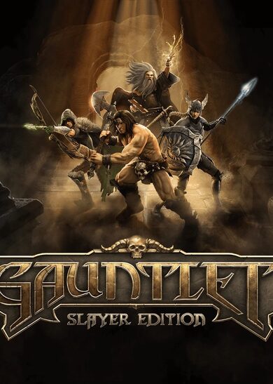 E-shop Gauntlet - Slayer Edition (PC) Steam Key EUROPE