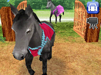 Buy Petz Horseshoe Ranch Nintendo DS