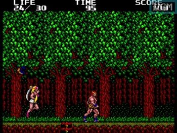 Buy Danan: The Jungle Fighter SEGA Master System