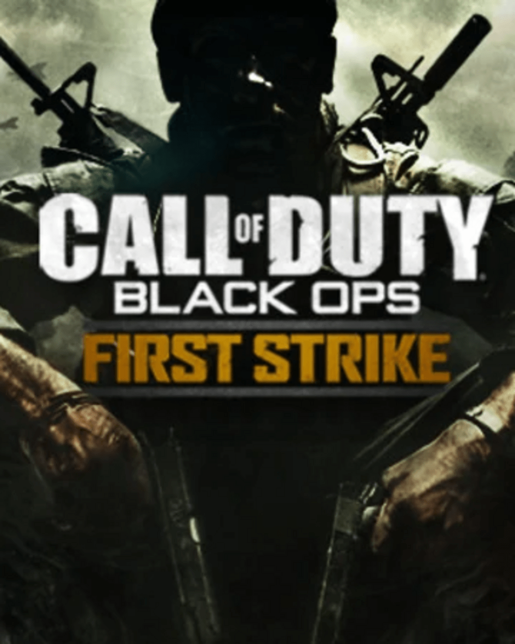 Call of Duty Black Ops First Strike Content DLC Steam | ENEBA