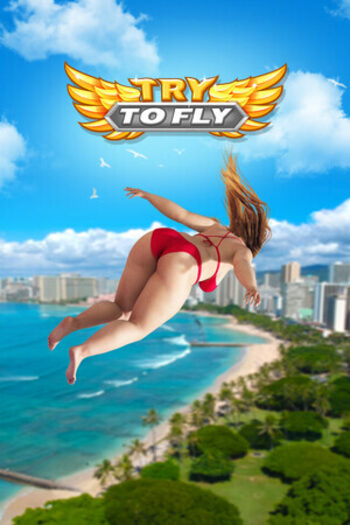 Try to Fly Steam Key (PC) GLOBAL