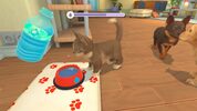 Get My Universe: Puppies and Kittens Nintendo Switch