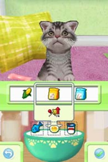 Petz Kittens Nintendo DS