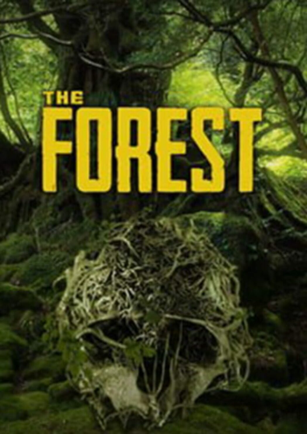 The Forest | ENEBA