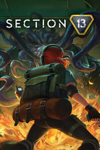 Section 13 game cover