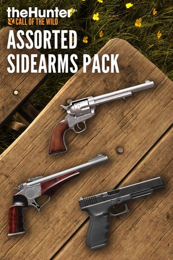 theHunter Call of the Wild™ - Assorted Sidearms Pack (DLC) Steam Key EUROPE