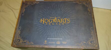 Buy Hogwarts Legacy Collector's Edition PlayStation 4