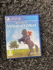 Buy Windstorm: Start of a Great Friendship PlayStation 4