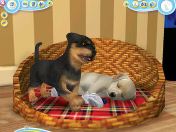 Petz Dogz 2 Nintendo DS for sale