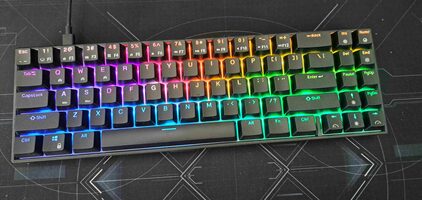 Royal Kludge RK71 TKL RGB mechaninė belaidė klaviatūra 70% / Brown Switches