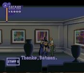 Buy Adventures of Batman & Robin SEGA CD