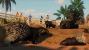 Buy Planet Zoo: The Arid Animal Pack (DLC) (PC) Código de Steam EUROPE
