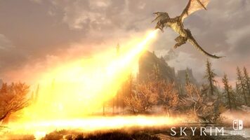 The Elder Scrolls V: Skyrim Switch Nintendo Switch