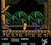 Get Werewolf: The Last Warrior NES