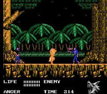 Get Werewolf: The Last Warrior NES