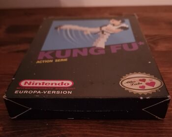 Kung Fu NES