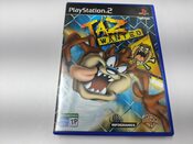 Taz: Wanted PlayStation 2