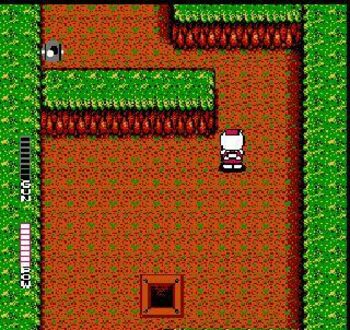 Redeem Blaster Master (1988) NES