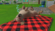 Get Little Friends: Puppy Island (PC) Steam Key GLOBAL