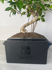 Dock Nintendo Switch