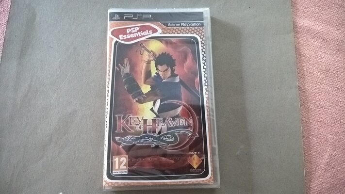 Kingdom of Paradise PSP