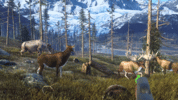 Big Buck Hunter: Ultimate Trophy - Deluxe Edition (PC/Xbox Series X|S) XBOX LIVE Key UNITED STATES