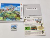 Buy Fantasy Life Nintendo 3DS