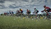 Buy Tour de France 2024 (PC) Steam Key GLOBAL