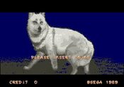 Get Shadow Dancer (1989) SEGA Mega Drive