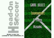 Fever Pitch Soccer SNES