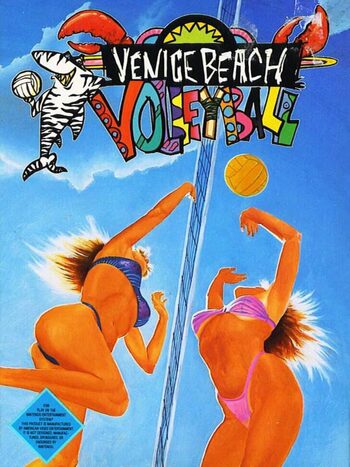 Venice Beach Volleyball NES