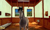 My Riding Stables 3D - Jumping for the Team Nintendo 3DS