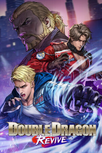 Double Dragon Revive game cover