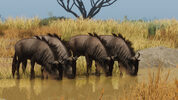 Buy Planet Zoo: Grasslands Animal Pack (DLC) (PC) Steam Key EUROPE
