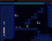 Redeem Blaster Master NES