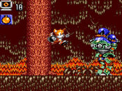 Tails Adventure Game Gear