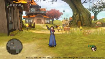 Dragon Quest X: Nemureru Yuusha to Michibiki no Meiyuu Online Wii