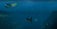 Buy Sea Monsters: A Prehistoric Adventure Wii