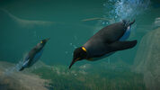 Buy Planet Zoo: Aquatic Pack (DLC) (PC) Steam Key EUROPE