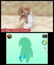 Buy nintendogs + cats: Toy Poodle & New Friends Nintendo 3DS